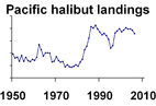 Pacific halibut landings **click to enlarge**