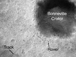 Rover Tracks on Mars