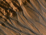 Gullies with Characteristics of Water-Carved Channels