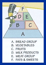 food pyramid