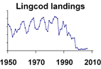 Lingcod landings **click to enlarge**