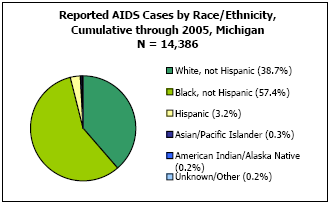 Reported AIDS Cases by Race/Ethnicity, Cumulative through 2005, Michigan N = 14,386 White, not Hispanic - 38.7%, Black, not Hispanic - 57.4%, Hispanic - 3.2%, Asian/Pacific Islander - 0.3%, American Indian/Alaska Native - 0.2%, Unkown/Other - 0.2%
