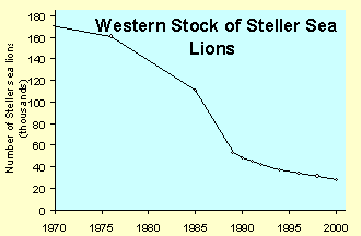Graph showing the decline of the western stock of Steller sea lions from approx. 170,000 animals in 1970 to 30,000 in 2000.