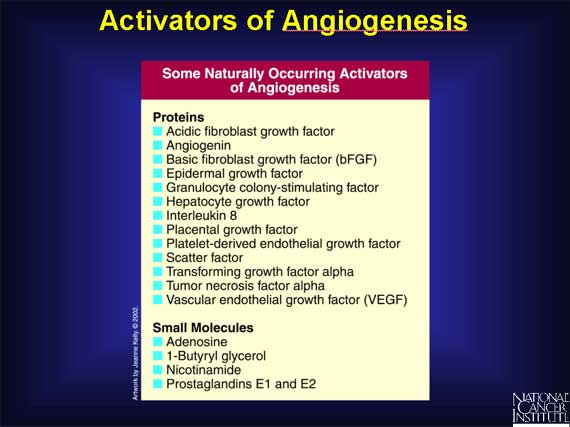 Activators of Angiogenesis