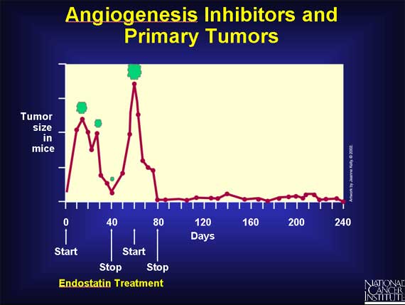 Angiogenesis Inhibitors and Primary Tumors