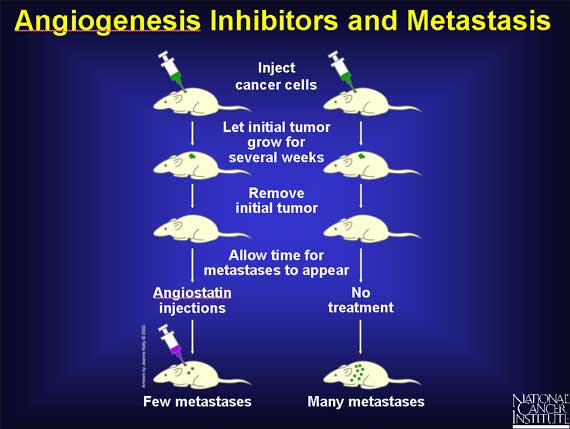 Angiogenesis Inhibitors and Metastasis