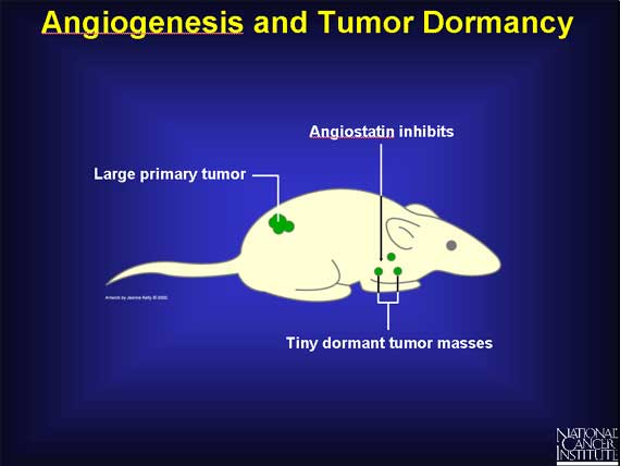 Angiogenesis and Tumor Dormancy
