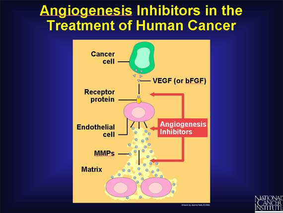 Angiogenesis Inhibitors in the Treatment of Human Cancer