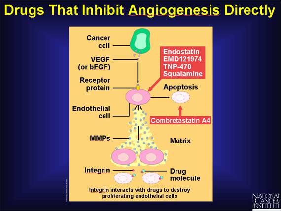Drugs That Inhibit Angiogenesis Directly
