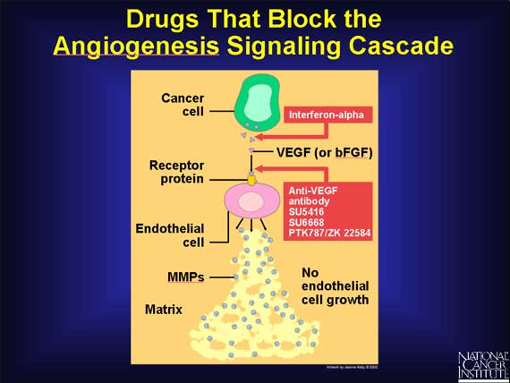 Drugs That Block the Angiogenesis Signaling Cascade