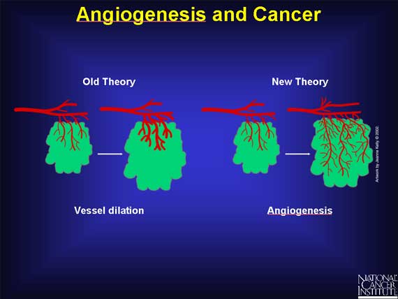 Angiogenesis and Cancer