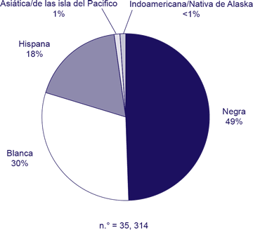 Raza/grupo étnico de las personas (incluidos los niños) a quienes se les diagnosticó el VIH/SIDA en el 2006
									
n.° = 35,314
Blanca: 30%
Negra: 49%
Hispana: 18%
Asiática/de las isla del Pacifico: 1%
Indoamericana/Nativa de Alaska: <1%.