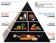 link to larger picture of Food Guide Pyramid