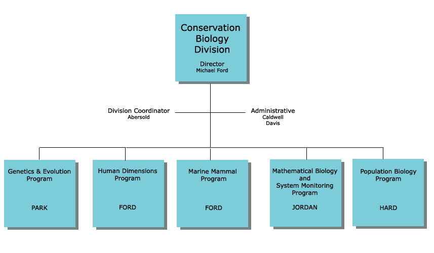 CB Organization Chart