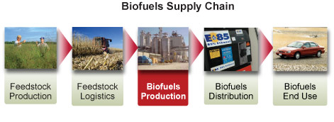 Biomass to Biofuels supply chain diagram with red highlight of biofuels production segment. Feedstock production (photo of two men in a field of switchgrass) leads to feedstock logistics (photo of combine harvester in corn field), which leads to biofuels production (photo of biorefinery), which leads to biofuels distribution (photo of fuel pump for E85), which leads to biofuels end use (photo of car).