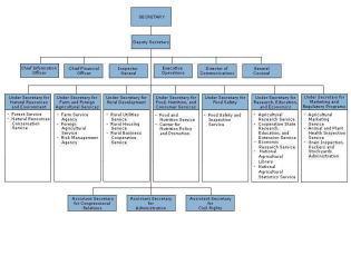 Image of Organization Chart at USDA