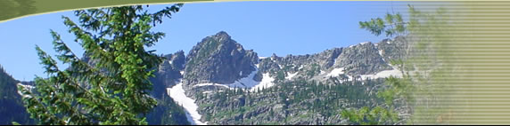 [Photo]: A 2003 Picture of peaks in the Cabinet Mountains Wilderness.  Photo shows a rocky ridgeline with scattered patches of snow.