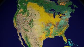 A view of fire incidence in the United States on July 14, 2002, as seen by the MODIS instrument on the Terra satellite.  The fires are superimposed over landcover data from MODIS, where regions of different landcover characteristic are represented by different colors.  The Biscuit fire is visible on the western end of the California-Oregon border.