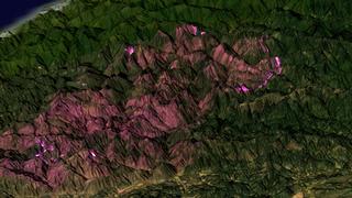 High resolution thermal data for the Biscuit Fire measured on August 14, 2002, by the ASTER instrument on the Terra satellite.  Bright purple regions represent currently active fire regions, while dark purple regions are older burned areas.