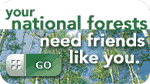 link to national forest foundation 