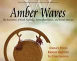 Amber Waves cover, June 2008