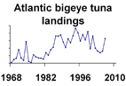 Atlantic bigeye tuna landings **click to enlarge**