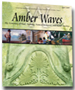 Cover for Amber Waves April 2007 — Farm Business Survival…Experience Matters