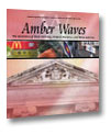 Cover for Amber Waves June 2003 — China