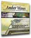 Cover for Amber Waves June 2004 — Demographic Trends Shape the Asia-Pacific Food System