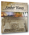 Cover for Amber Waves June 2005 — Will Americans Eat More Whole Grains?