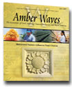 Cover for Amber Waves June 2007 — Behavioral Factors Influence Food Choices