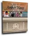 Cover for Amber Waves November 2003 — Trade Partners Seek Common Ground on Food Safety Issues