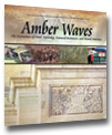Cover for Amber Waves November 2004 — U.S. Farm Programs: States
