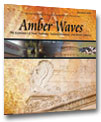 Cover for Amber Waves November 2005 — Store Formats Key to Food Price Variations