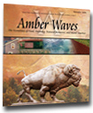 Cover for Amber Waves November 2006 — Poverty and the Cost of Living
