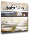 Cover for Amber Waves September 2004 — Evaluating Conservation Programs:  Understanding the Linkages