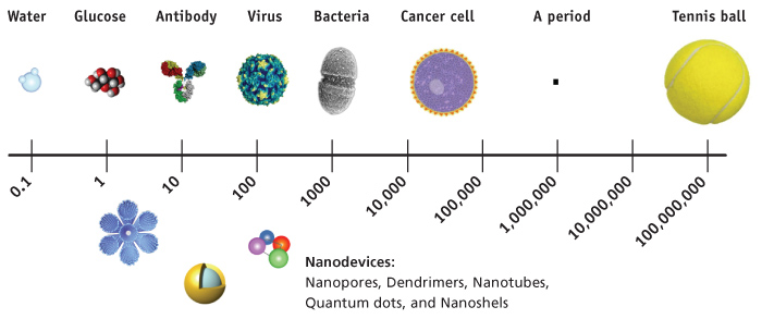 A diagram showing various microscopic organisms in nanoscales and a list of nanodevices.