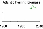 Atlantic herring biomass **click to enlarge**