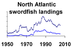 North Atlantic swordfish landings **click to enlarge**