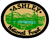 Ashley National Forest