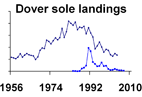 Dover sole landings **click to enlarge**