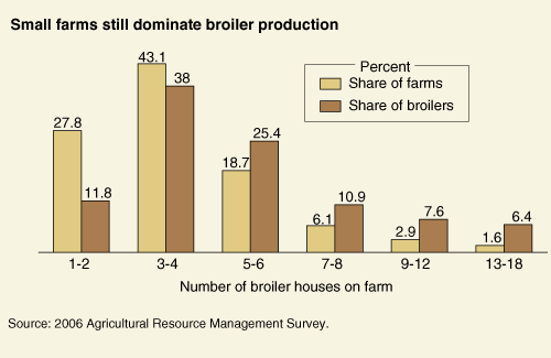 Chart: Small farms still dominate broiler production