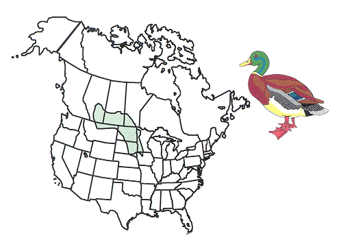 Map of the United States and Canada with shaded portion showing the Prairie Pothole Region.