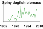 Atlantic spiny dogfish biomass **click to enlarge**