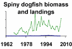 Atlantic spiny dogfish biomass and landings **click to enlarge**