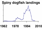Atlantic spiny dogfish landings **click to enlarge**