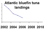 Atlantic bluefin tuna landings **click to enlarge**