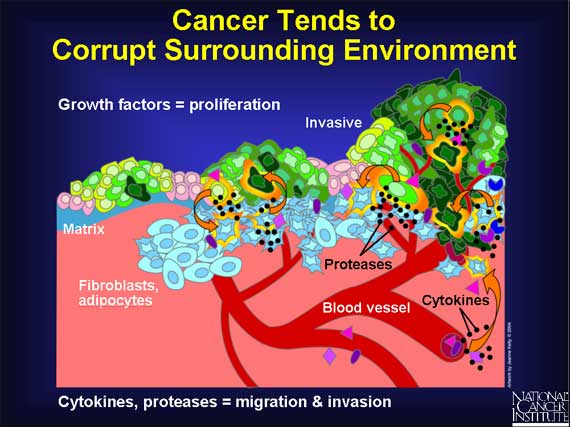 Cancer Tends to Corrupt Surrounding Environment