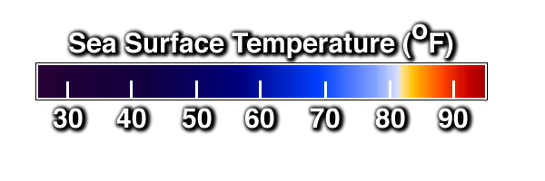 Color bar for sea surface temperatures in degrees F: blues are less than 80 , white is about 82, yellows and reds are above 82