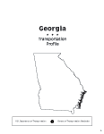 State Transportation Profile (STP): Georgia